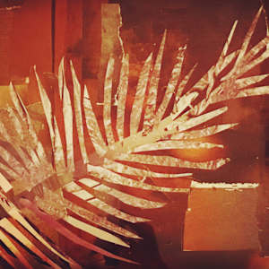 "Hope" from the series 8 Reasons Why by Jeannie N. Hua