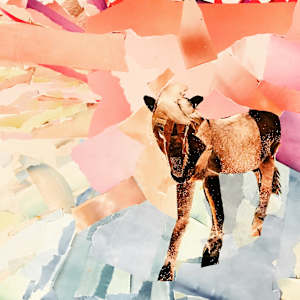 Horse by Jeannie N. Hua