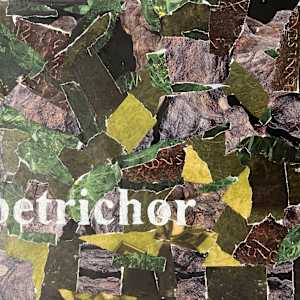 Petrichor - a smell that accompanies the first rain after a long period of dry weather by Jeannie N. Hua, Image 1.