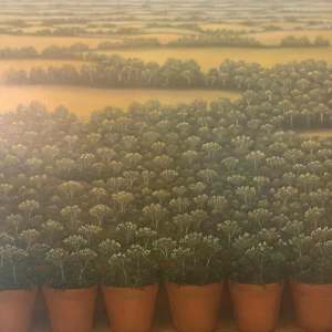 *Banking Hours by John Fraser