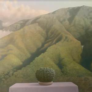 *Buenos Dias Pacheco by John Fraser