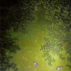 - sin titulo - pigeons on the grass by John Fraser