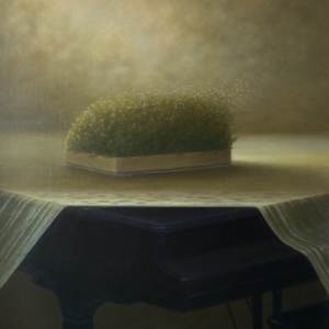 Stormy Weather? by John Fraser