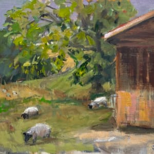 Afternoon Sheep by Jinx Constine
