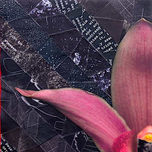 Orchid Dreams by Ann Altar 
