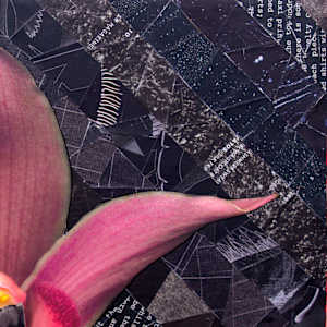 Orchid Dreams by Ann Altar 