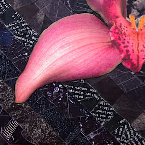 Orchid Dreams by Ann Altar 