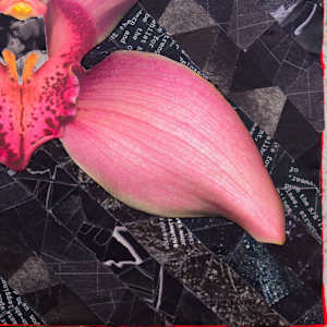 Orchid Dreams by Ann Altar 