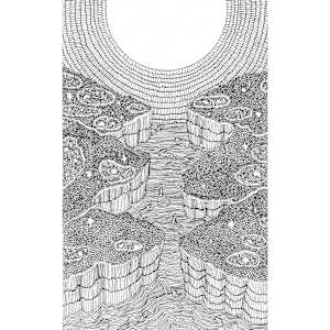 Multitude of Fish 5 by Jenny Chen