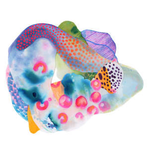 Freckled Shell by Amanda Mulcahy