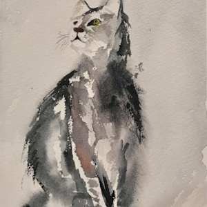 Kitty by Elif Ozkaya