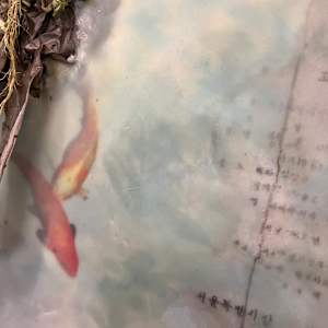 Statement of Release by Katy Flammia  Image: Detail #2