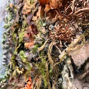 Statement of Release by Katy Flammia  Image: Detail #1