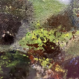 Cetraria by Katy Flammia  Image: Detail #2