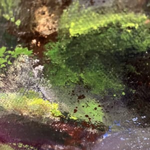 Cetraria by Katy Flammia  Image: Detail #3