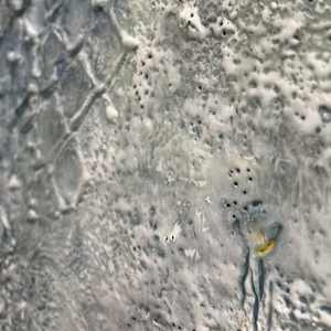 Flowing Up and Down by Katy Flammia  Image: Detail #3