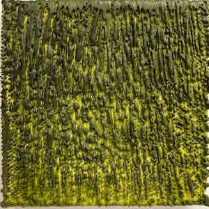 Moss Drip by Katy Flammia