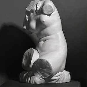 Venus de Milo by Jia Liu