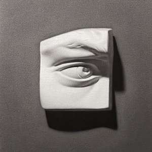 David's Eye by Jia Liu