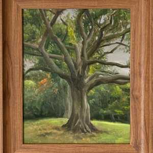 Banyan Tree by Jia Liu, Image 1.