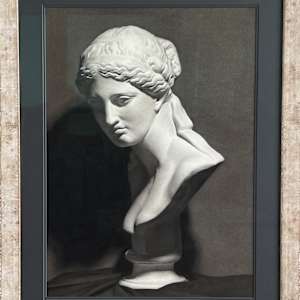 Venus de Milo Bust Drawing by Jia Liu