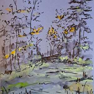 Elk Island Park #1 by Marlena Wyman