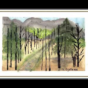 Deforestation by Jennifer Gjaltema 