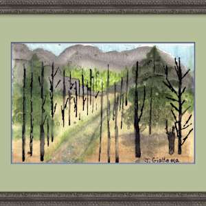 Deforestation by Jennifer Gjaltema 
