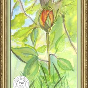 First Bloom by Jennifer Gjaltema 