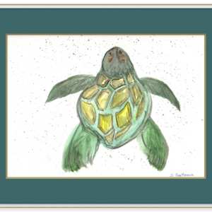 Honu by Jennifer Gjaltema 