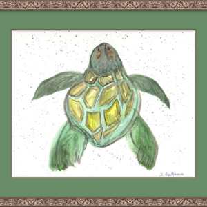 Honu by Jennifer Gjaltema 