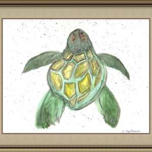 Honu by Jennifer Gjaltema 