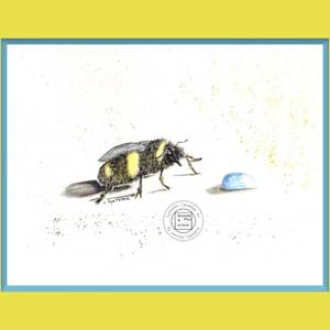 L’abeille Soif by Jennifer Gjaltema 