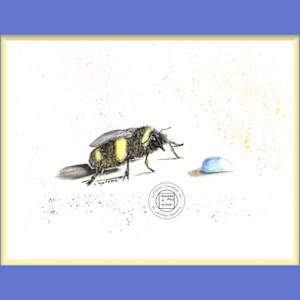 L’abeille Soif by Jennifer Gjaltema 