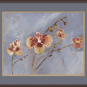 Orchids - Giclée Print by Jennifer Gjaltema 
