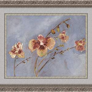 Orchids - Giclée Print by Jennifer Gjaltema 