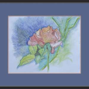 Ray's Rose by Jennifer Gjaltema 
