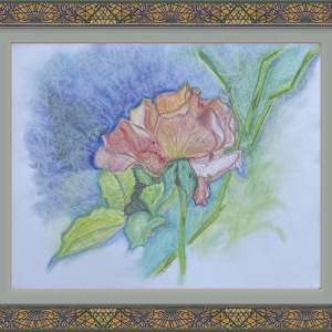 Ray's Rose by Jennifer Gjaltema 