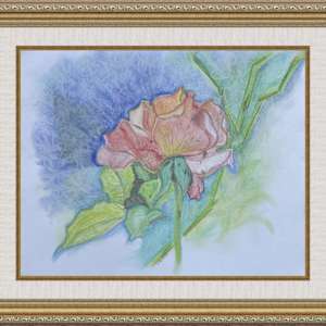 Ray's Rose by Jennifer Gjaltema 