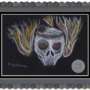 Skull by Jennifer Gjaltema 