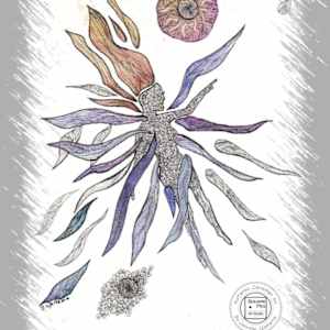 Transcendence by Jennifer Gjaltema  Image: F1