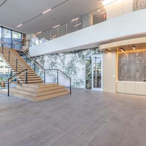 Almond Tree-Vence by Leslie Park 