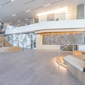 Almond Tree-Vence by Leslie Park 