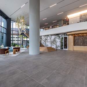 Almond Tree-Vence by Leslie Park 