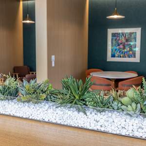 Rosa IV by Joan Steinman 