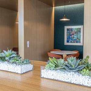 Rosa IV by Joan Steinman 