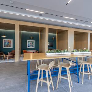 Rosa III by Joan Steinman 