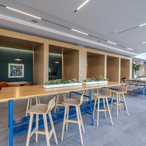 Rosa III by Joan Steinman 