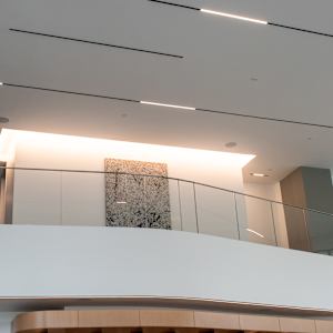 Almond Tree-Vence by Leslie Park 