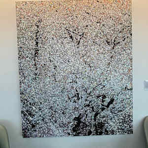 Almond Tree-Vence by Leslie Park 